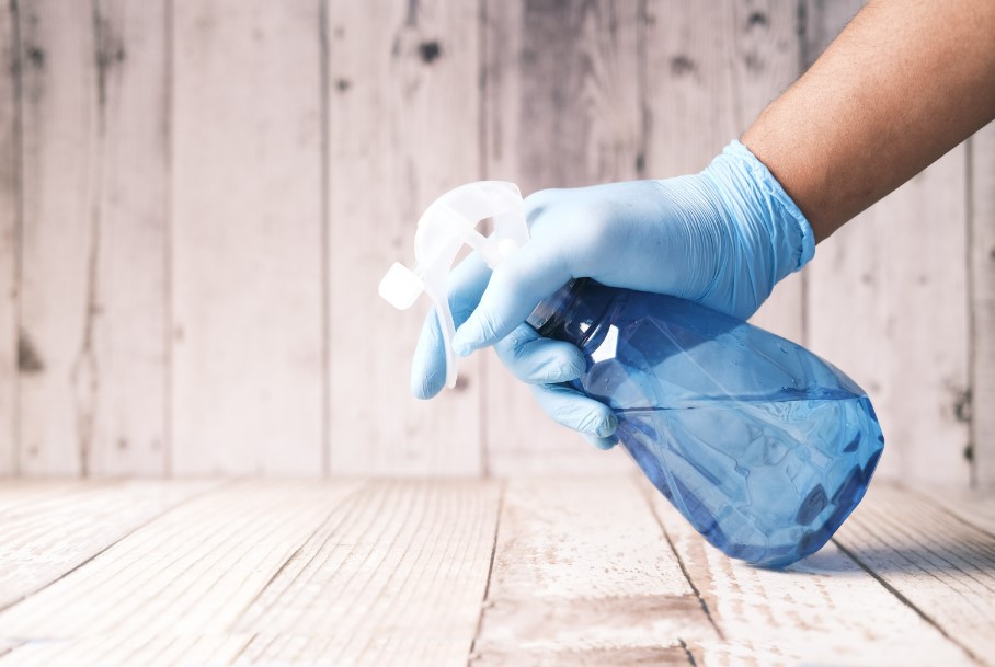 Top 10 House Cleaning Services in Tampa, FL