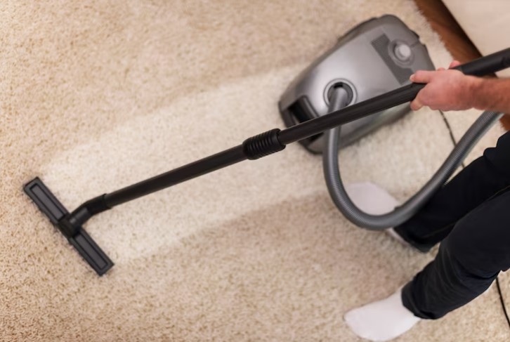 Top 10 Picks for Carpet Cleaning Companies in Tampa