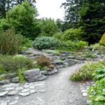 Gorgeous Rock Garden Idea