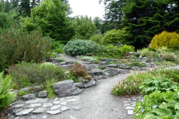 10 Gorgeous Rock Garden Ideas for Your Landscape