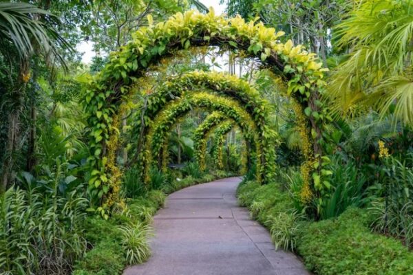 Best Botanical Gardens Near Me – May 2023