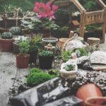 Charming Small Garden Ideas
