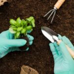 Gardening Tips Every Gardener Should Know
