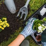 Gardening ideas for beginners at home