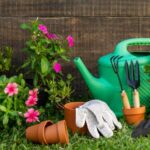 Best Tips for Gardening