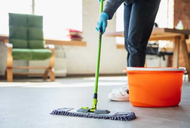 Find Cleaning Services in Tampa